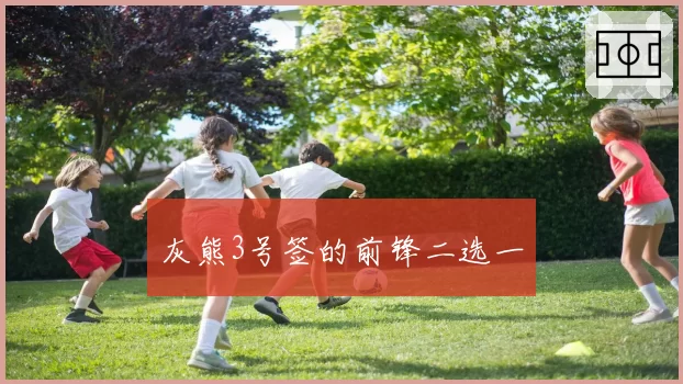 灰熊3号签的前锋二选一