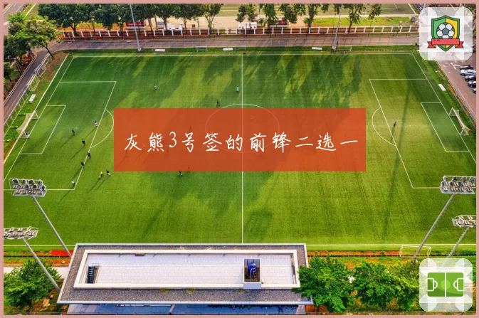 灰熊3号签的前锋二选一