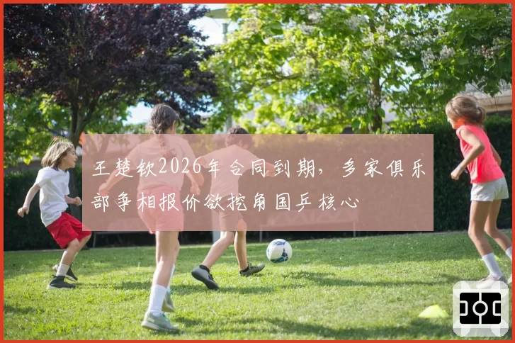 王楚钦2026年合同到期，多家俱乐部争相报价欲挖角国乒核心