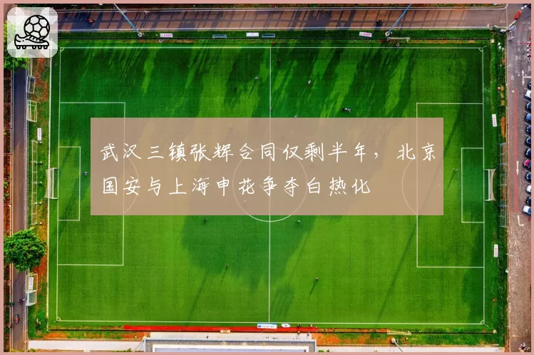 武汉三镇张辉合同仅剩半年，北京国安与上海申花争夺白热化
