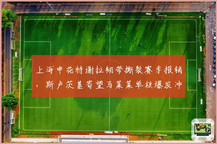 上海申花特谢拉韧带撕裂赛季报销，斯卢茨基寄望马莱莱单核爆发冲击亚冠区？
